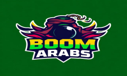 team logo