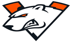 team logo
