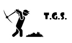 team logo