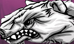 team logo