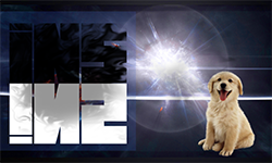 team logo
