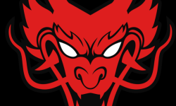 team logo