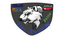 team logo