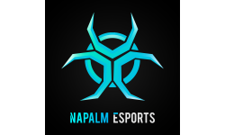 team logo