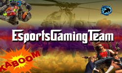 team logo