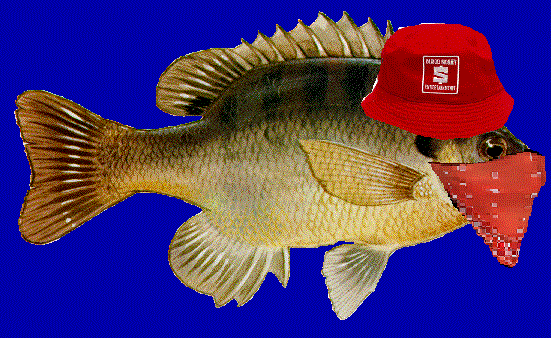 team logo