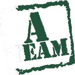 team logo