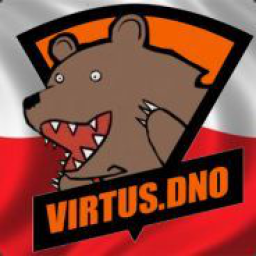 team logo