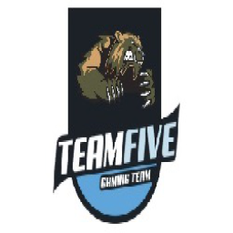 team logo