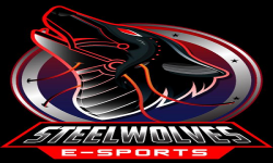 team logo