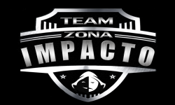 team logo