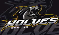team logo