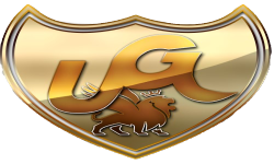 team logo