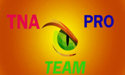 team logo