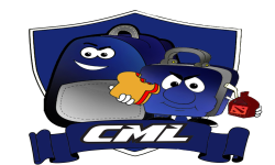 team logo