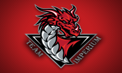 team logo