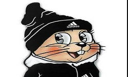 team logo