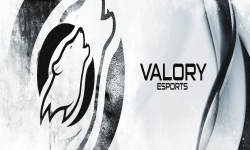 team logo