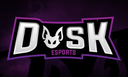 team logo