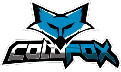 team logo