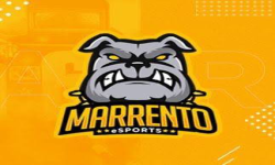 team logo