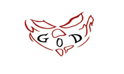 team logo
