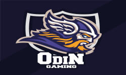 team logo