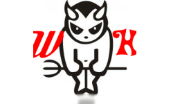 team logo