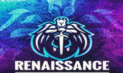 team logo