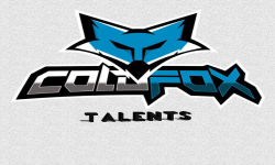 team logo