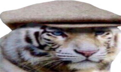 team logo