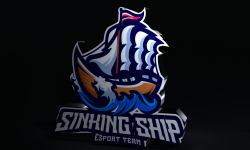 team logo
