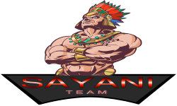 team logo