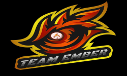 team logo