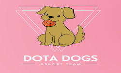 team logo