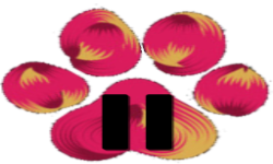 team logo