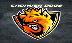 team logo