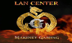 team logo