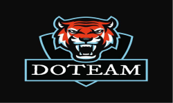 team logo