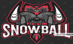 team logo