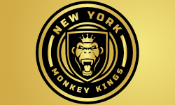 team logo
