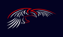team logo