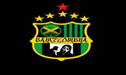 team logo