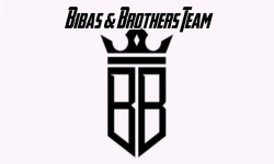 team logo