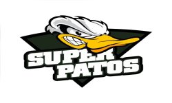 team logo