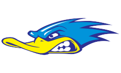 team logo