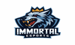 team logo