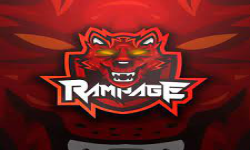team logo