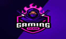 team logo