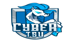 team logo